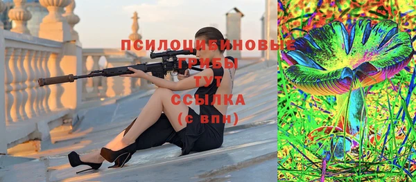 индика Алексеевка