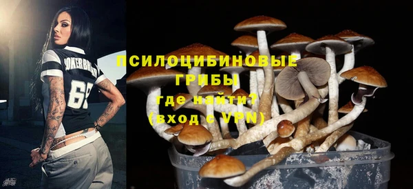 индика Алексеевка